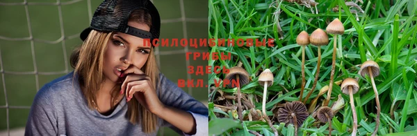 герыч Липки