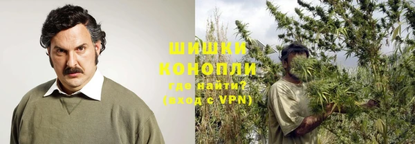 винт Лиски